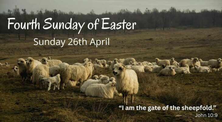 4th Sunday of Easter